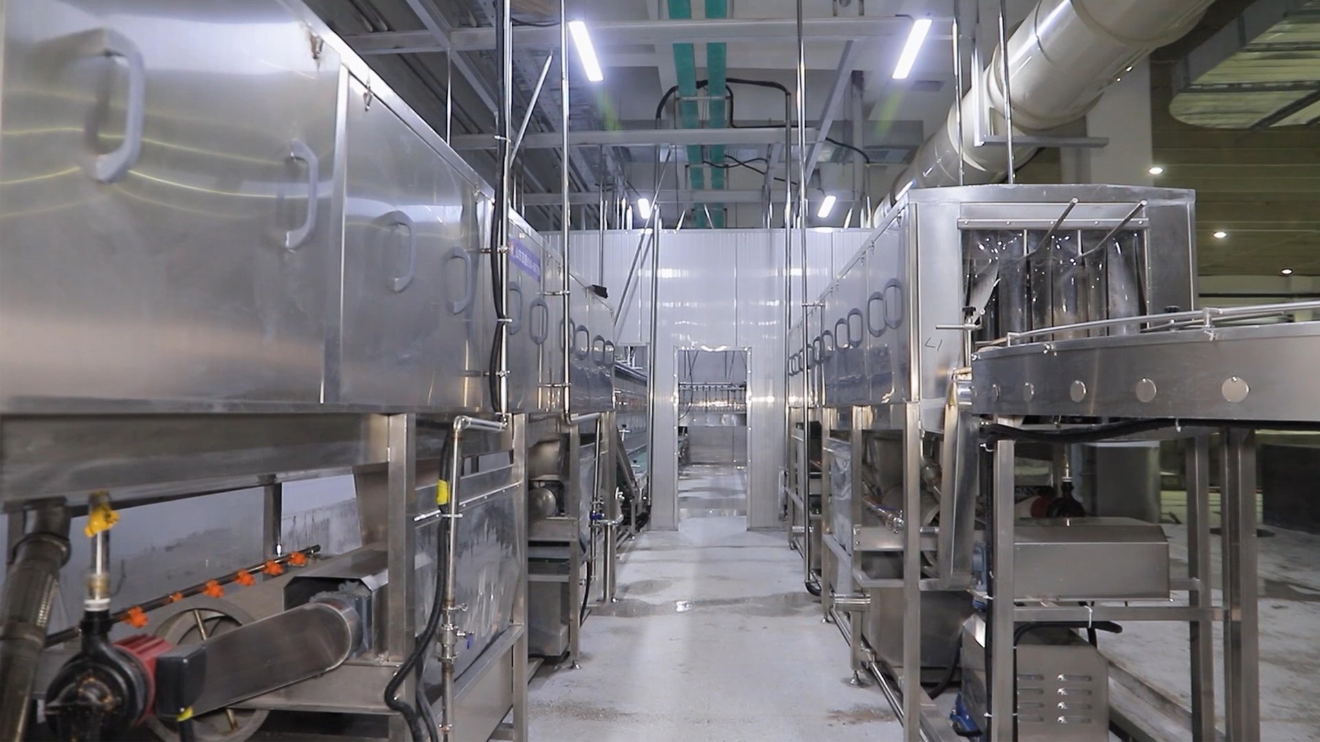 Washing Processing Equipment